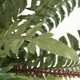 Berkfield Home Artificial Fern Plant with Pot 60 cm Green - thumbnail 2