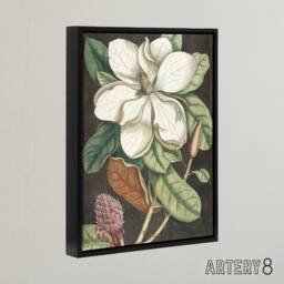 "Artery8 Altissima Flower Laurel Tree Magnolia Catesby Framed Canvas Wall Art - Size: W12"" x H16""" - thumbnail 2