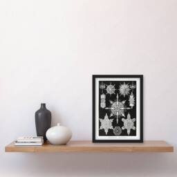 "Artery8 Marine sea ocean Life in B&W Haeckel Framed Wall Art Print in Black - Size: W12"" x H16""" - thumbnail 4