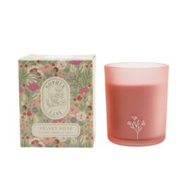 Sophia Lane Velvet Rose Floral Candle - 100g in Light Pink - thumbnail 2