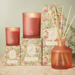 Sophia Lane Velvet Rose Floral Candle - 100g in Light Pink - thumbnail 6