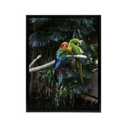 "Artery8 Colourful Sleeping Parrots Carol M Highsmith Framed Canvas Wall Art - Size: W12"" x H16""" - thumbnail 1