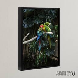 "Artery8 Colourful Sleeping Parrots Carol M Highsmith Framed Canvas Wall Art - Size: W12"" x H16""" - thumbnail 2