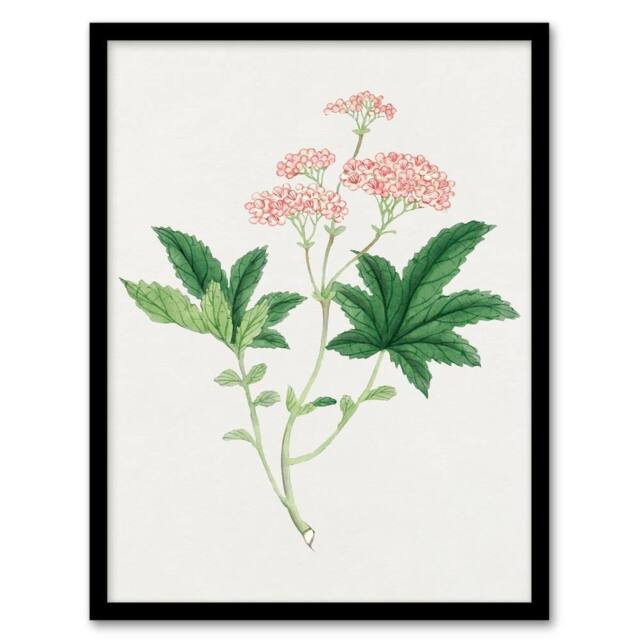 Artery8 Vintage Japan Botanical Framed Wall Art Print Shimotsuke Flower in Pink - Size: A4 - image 1