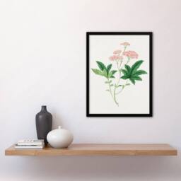 Artery8 Vintage Japan Botanical Framed Wall Art Print Shimotsuke Flower in Pink - Size: A4 - thumbnail 2