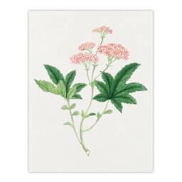 Artery8 Vintage Japan Botanical Framed Wall Art Print Shimotsuke Flower in Pink - Size: A4 - thumbnail 3
