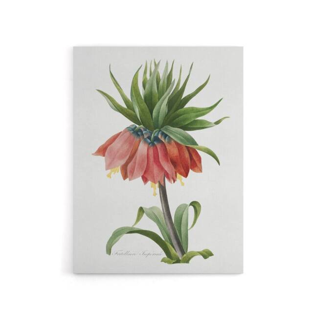 "Artery8 Crown Imperial Flower Redoute Vintage Canvas Wall Art in White - Size: W18"" x H24""" - image 1