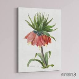 "Artery8 Crown Imperial Flower Redoute Vintage Canvas Wall Art in White - Size: W18"" x H24""" - thumbnail 2