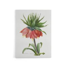 "Artery8 Crown Imperial Flower Redoute Vintage Canvas Wall Art in White - Size: W18"" x H24""" - thumbnail 1