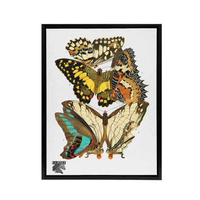 "Artery8 Papillons Butterflies Illustration Framed Canvas Wall Art Print Seguy - Size: W18"" x H24""" - image 1