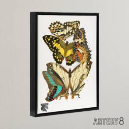 "Artery8 Papillons Butterflies Illustration Framed Canvas Wall Art Print Seguy - Size: W18"" x H24""" - thumbnail 2