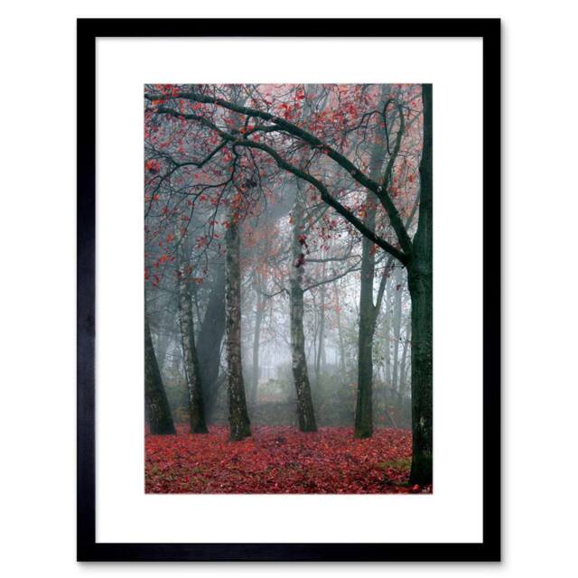 "Artery8 Nature Forest Tree Autumn Fall Red Home Decor 12x16"" Framed Art Print in Grey - Size: W12"" x H16""" - image 1