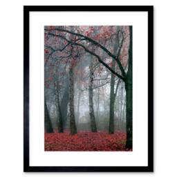 "Artery8 Nature Forest Tree Autumn Fall Red Home Decor 12x16"" Framed Art Print in Grey - Size: W12"" x H16""" - thumbnail 1