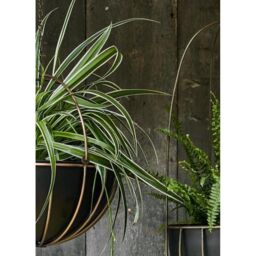 Ivyline Indoor Kensington Brass Tall Hanging Planter H60cm x D24cm in Metallics - thumbnail 3