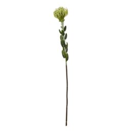 Hill Interiors Pincushion Protea Spray Artificial Flower in Green - thumbnail 1