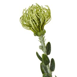 Hill Interiors Pincushion Protea Spray Artificial Flower in Green - thumbnail 3