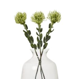 Hill Interiors Pincushion Protea Spray Artificial Flower in Green - thumbnail 2