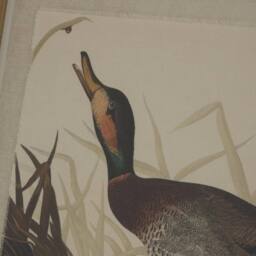 Sostter Duck Artwork in Beaded Frame on Linen Canvas in Beige - thumbnail 2