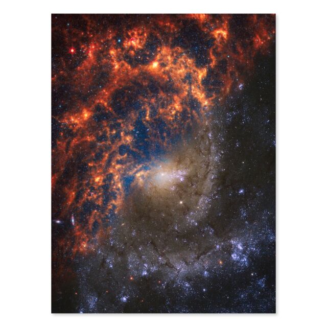 "Artery8 NASA Hubble James Webb Telescope Spiral Galaxy NGC 2835 Wall Art Print - Size: W18"" x H24""" - image 1