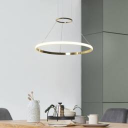 Wyld and Coco Gold Ring Pendant Lamp with Integrated LED Rings