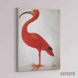 "Artery8 Merian Scarlet Ibis Bird With Egg Canvas Wall Art Print in Pink - Size: W24"" x H32""" - thumbnail 2
