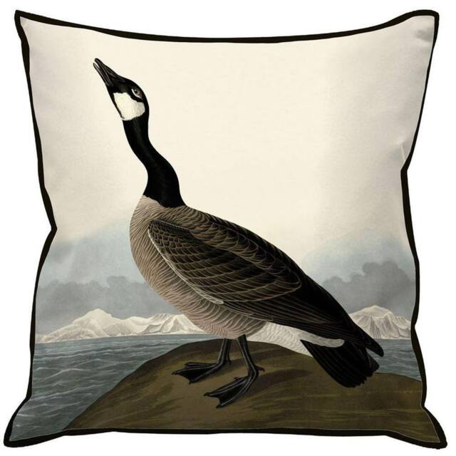 John James Audubon Hutchin Barnacle Goose Filled Cushion in Black - image 1