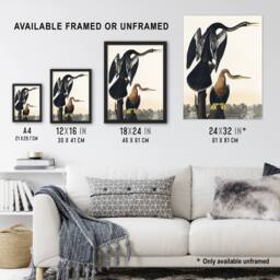 "Artery8 Black Bellied Darter Bird Audubon Nature Wall Art Print Poster in White - Size: W12"" x H16""" - thumbnail 3