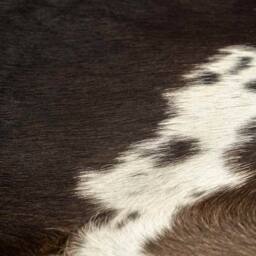 Berkfield Home Real Cow Hide Rug Black 150x170 cm - Size: 100 cm diameter - thumbnail 1