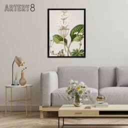 "Artery8 New Zealand Ourisia Flowering Plant Featon Framed Canvas Wall Art in Beige - Size: W12"" x H16""" - thumbnail 3