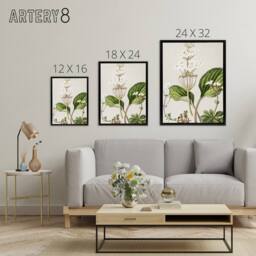 "Artery8 New Zealand Ourisia Flowering Plant Featon Framed Canvas Wall Art in Beige - Size: W12"" x H16""" - thumbnail 4