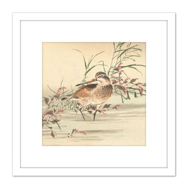 Artery8 Kono Bairei Stream Bird Japan Woodblock 8X8 Inch Square Wooden Framed Wall Art Print Picture with Mount in White - image 1