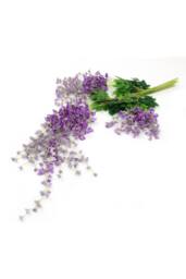 Garden Sanctuary 12pcs Artificial Purple Wisteria Hanging Vines - thumbnail 2