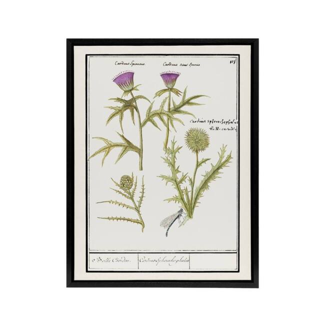"Artery8 Thistle & Artichoke Flowers de Boodt Framed Canvas Wall Art Print in White - Size: W12"" x H16""" - image 1