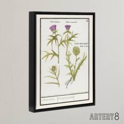"Artery8 Thistle & Artichoke Flowers de Boodt Framed Canvas Wall Art Print in White - Size: W12"" x H16""" - thumbnail 2
