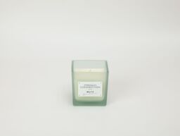 French Connection Square Range - Mango Mojito Candle 200g (1-Wick) - FCC003NS in Green - thumbnail 5
