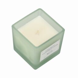 French Connection Square Range - Mango Mojito Candle 200g (1-Wick) - FCC003NS in Green - thumbnail 3