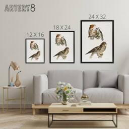 "Artery8 James De Kay Little Screech & Short Eared Owl Framed Canvas Art in White - Size: W12"" x H16""" - thumbnail 4