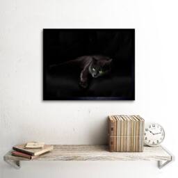 "Artery8 Black Cat Yellow Eyes Lazy Sleepy Home Decor 12x16"" Framed Art Print - Size: W12"" x H16""" - thumbnail 2