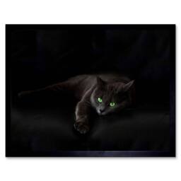 "Artery8 Black Cat Yellow Eyes Lazy Sleepy Home Decor 12x16"" Framed Art Print - Size: W12"" x H16""" - thumbnail 1