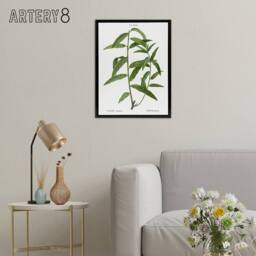 "Artery8 Basket Willow Botanical Redoute Vintage Black Framed Canvas Wall Art in White - Size: W12"" x H16""" - thumbnail 3