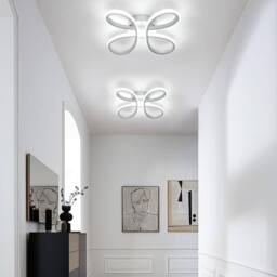 Pheashine 30W LED Ceiling Light, Silver 30cm Flower Flush Mount Lamp, White Light - thumbnail 8