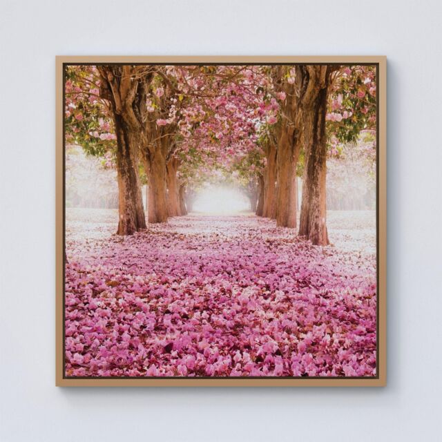 Warren Reed - Designer Pink Flower Tree Tunnel Framed Canvas in Light Brown - Size: w40 inch x h40 inch - image 1