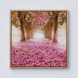 Warren Reed - Designer Pink Flower Tree Tunnel Framed Canvas in Light Brown - Size: w40 inch x h40 inch - thumbnail 1