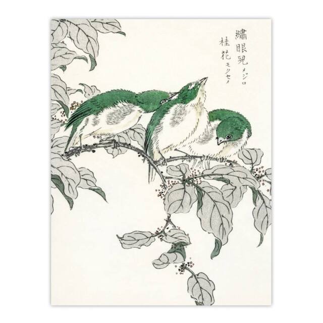 "Artery8 White Eye & Osmanthus Japanese Japanese Wall Art Print Kashu - Size: W12"" x H16""" - image 1