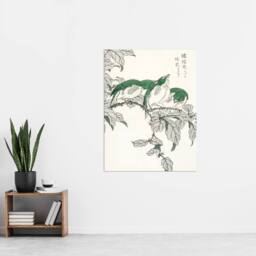 "Artery8 White Eye & Osmanthus Japanese Japanese Wall Art Print Kashu - Size: W12"" x H16""" - thumbnail 4