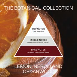 French Connection Botanical Infused Candle Lemon, Neroli & Cedarwood 660G (1-Wick) - FCC008LS - thumbnail 5