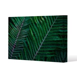 Benjamin Tate Design green leaves, abstract flora texture (Canvas Print) / 46 x 31 x 4cm in Natural - Size: 46 x 31 x 4 cm - thumbnail 1