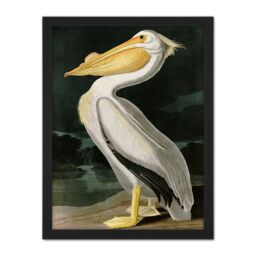 "Artery8 Wall Art Print Audubon Birds White Pelican Painting Large Framed Wall Décor Art in Brown - Size: W18"" x H24""" - thumbnail 1