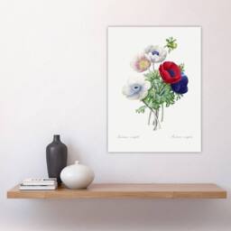 "Artery8 Anemone Flowers Botanical Redoute Vintage Wall Art Print Poster in White - Size: W24"" x H32""" - thumbnail 4