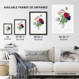 "Artery8 Anemone Flowers Botanical Redoute Vintage Wall Art Print Poster in White - Size: W24"" x H32""" - thumbnail 3